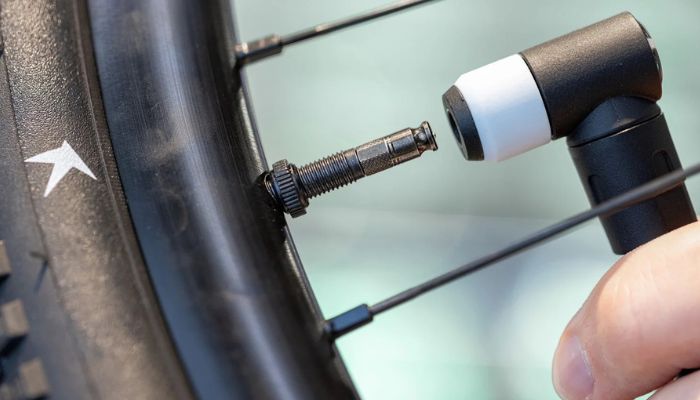 Schwalbe